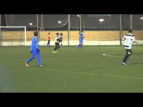 PLA DE NA TESA 3 ANDRATX 4