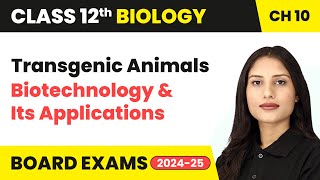 Transgenic Animals - Biotechnology and Its Applications | Class 12 Biology Chapter 10 | CBSE 2024-25