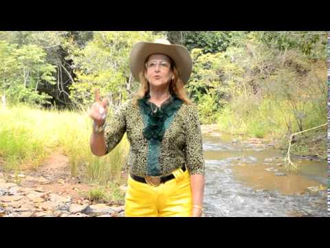 Estas Aguás Cristalinas - Licionina Barreto