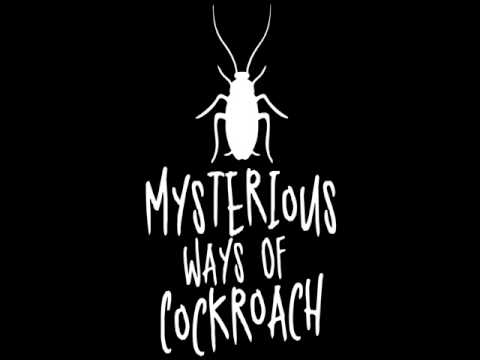 Mysterious Ways Of Cockroach - לילה טוב
