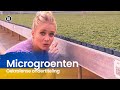 Het Klokhuis ?? Microgroenten