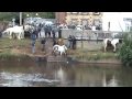 Appleby Horse Fair Time To Call A Halt To This Festival Of Animal Abuse