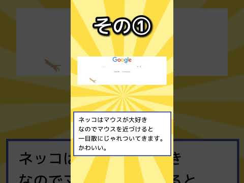 Safari 14: Chrome 拡張機能の移植が可能