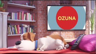 Download lagu Ozuna – It’s Gonna Be A Lovely Day (The Secret Life of Pets 2) Remix (Lyric Video) mp3 Download lagu Ozuna – It’s Gonna Be A Lovely Day (The Secret Life of Pets 2) Remix (Lyric Video) mp3