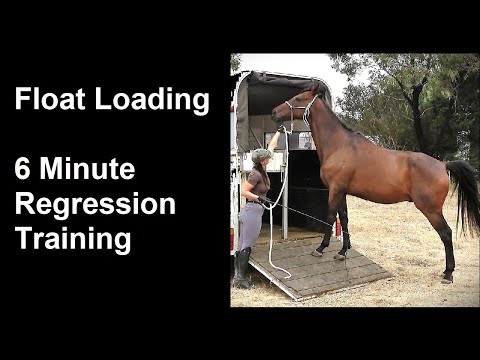 Horsemanship Training - Float Loading 6 Minute Regression Training