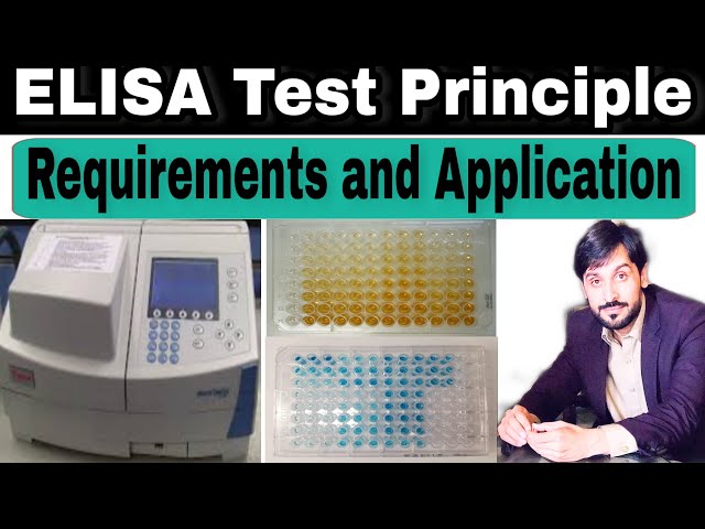 הגיית וידאו של ELISA test בשנת אנגלית