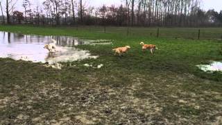 Goonis, Rudy, Todd, Batida en Lilly