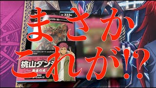 【ヴァンガード】全てのカードがここに！これこそヴァンガード界のノアの箱舟！/Cardfight!! Vangard over Dress 333DECK!! 【開封】