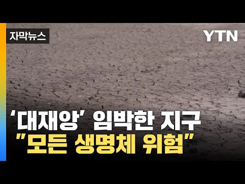 아이콘