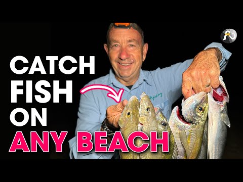 Fish THIS SPOT at ANY Beach & You Will Catch Fish ✅