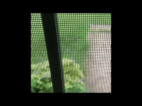 UNBOXING AND PRODUCT REVIEW FOR SUN JOE 24V PS8 LTE 24 Volt iON + Cordless Telescoping Pole Chainsaw