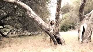 Colleen Grace Music "The World Disappears (Sweet Mercury)"