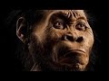NOVA Science Documentary Dawn Of Humanity