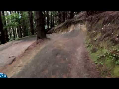 Te Poaka. Rotorua. March 2025.