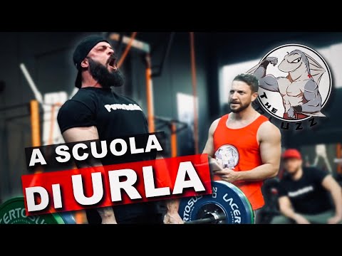 Insegno la lingua degli Dei a Maurizio Merluzzo