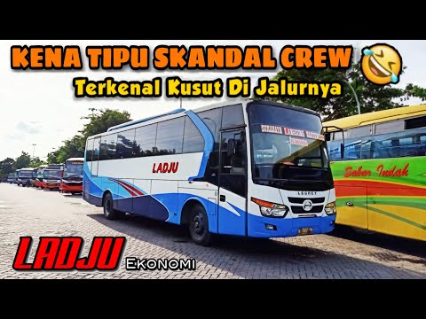 "KENA TIPU !!! SKANDAL CREW LADJU 🔥" | Trip Report Bus LADJU Bumel Surabaya-Jember