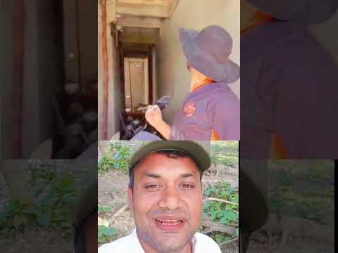 এতদিনে বিড়ি খাওয়াটা কাজে লাগছে #shortvideo #virelshirts #shorts #viral #funny #