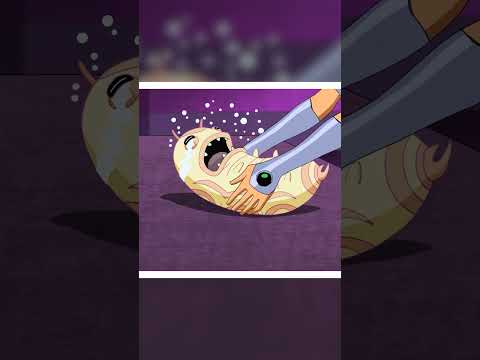 Starfire Adopts Silkie! 🐛 | #TeenTitans #shorts | @dckids