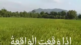 Download lagu Surah Al waqiah irama bayati mp3