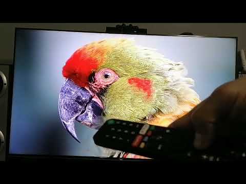 Como vincular control SONY emparejar control SONY