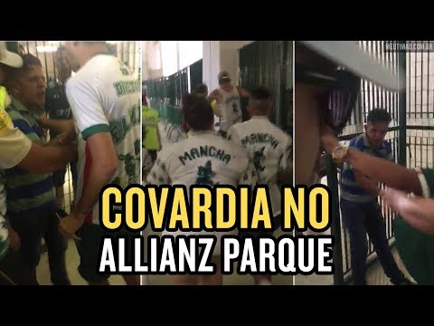 Torcedor  agredido acusado de ser corinthiano no Allianz Parque