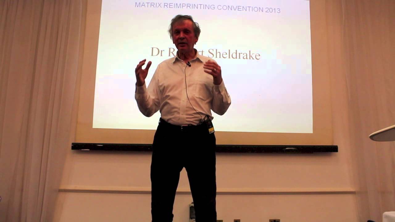 Matrix Reimprinting Convention 2013 (2)