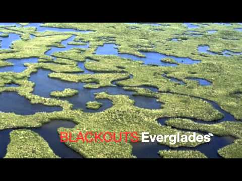 BLACKOUTS - EVERGLADES