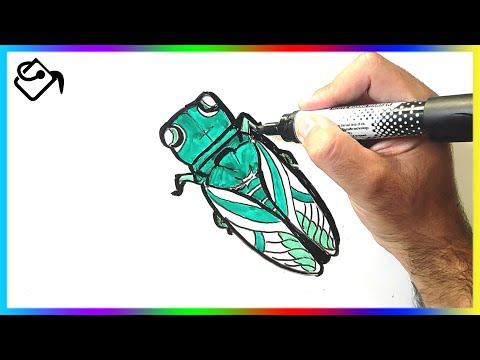 Comment dessiner une CIGALE dessin FACILE