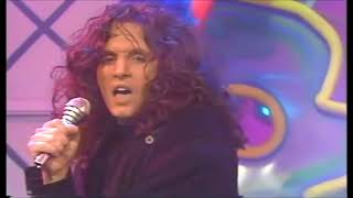 Robbie Nevil  -  C&#39;est La Vie