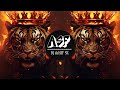 Tiger Dhun 2 - New ( Bass Mix) | DJ Aasif SK