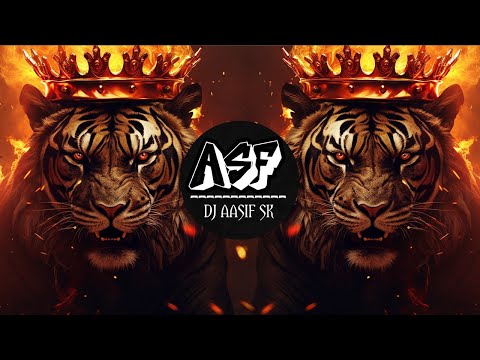 Tiger Dhun 2 - New ( Bass Mix) | DJ Aasif SK