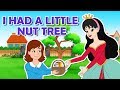 I Had A Little Nut Tree Nursery Rhyme Popular Nursery Rhymes With Max And Louie