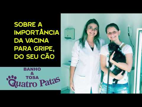Prevenção contra a gripe canina