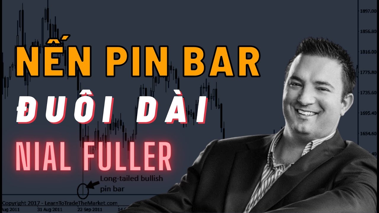 Kỹ Thuật Giao Dịch Nến Pin Bar Đuôi Dài Từ Chuyên Gia Price Action - Nial Fuller