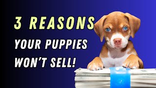 3 Reasons Your Puppies Won