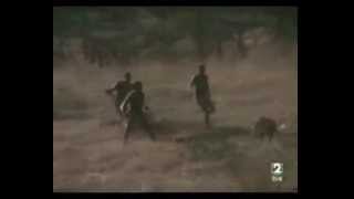 African Monkey Hog Riding