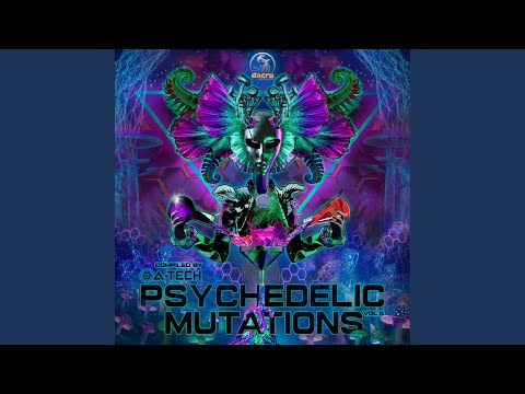 Liquid Crystal Visions