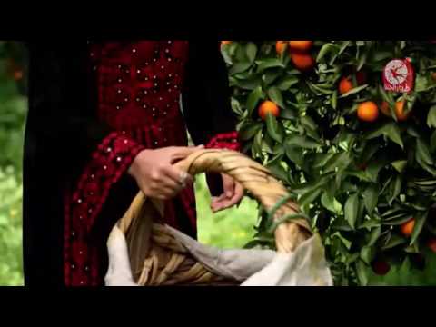 اغنية بنت صغيرة فلسطينية أمينة كرم