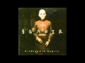 Slayer - Wicked