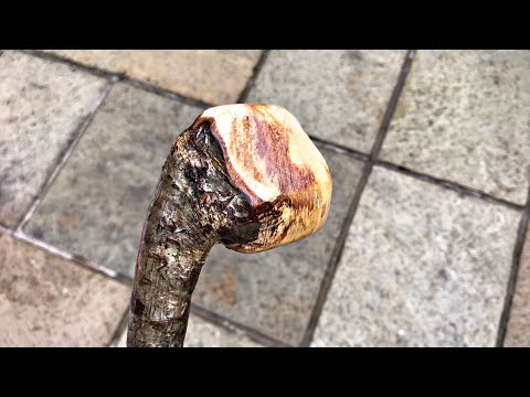 Can you make a Shillelagh walking stick from dead wood