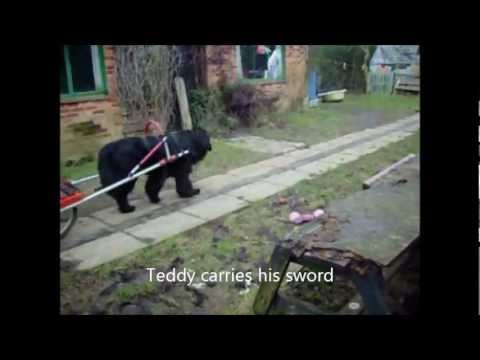 Teddy with Cart.wmv  Crufts factor video