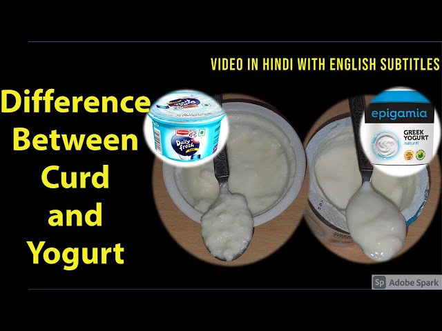 Video Pronunciation of curd in English