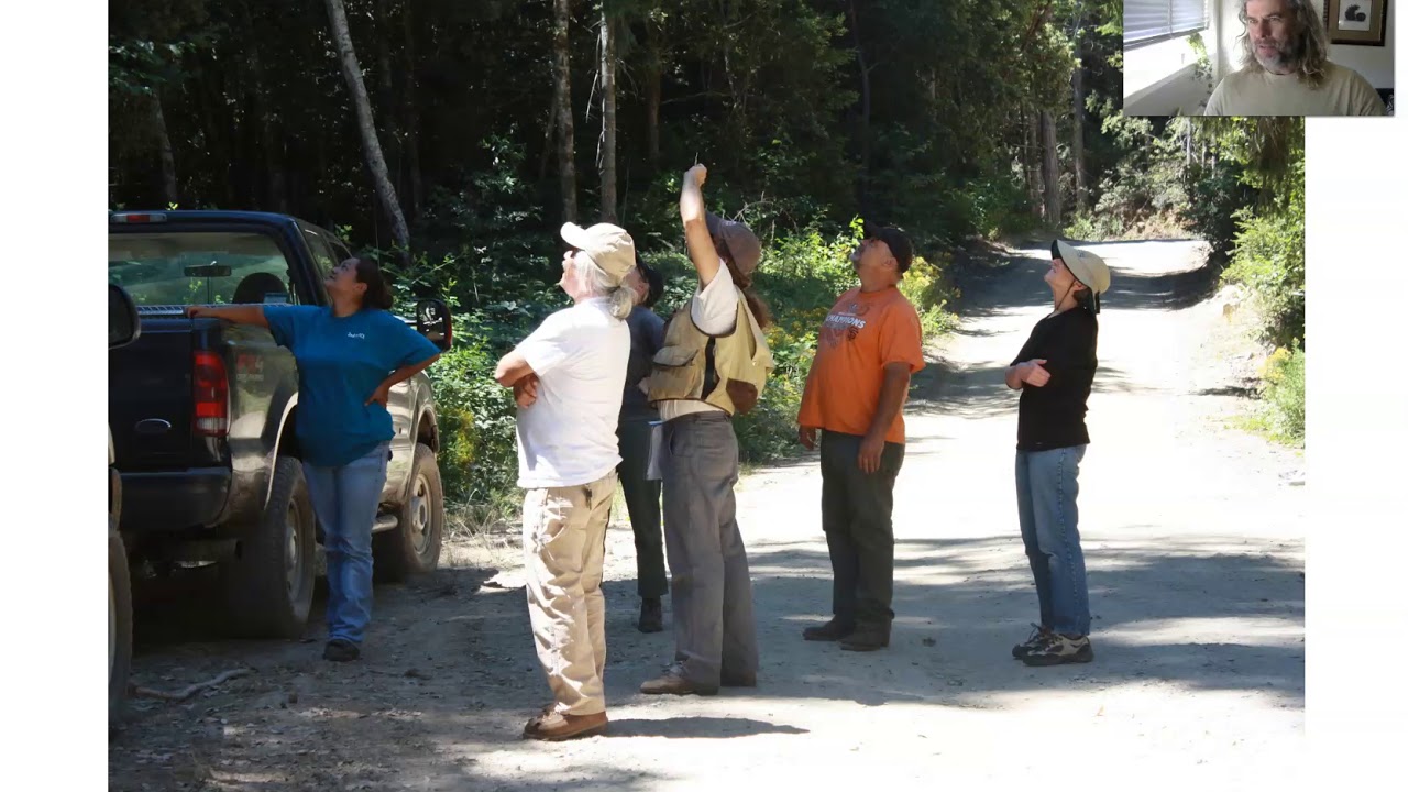 7.1 - Indigenous forest management