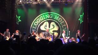 Flogging Molly - &quot;Another Bag of Bricks&quot; and &quot;(No More) Paddy&#39;s Lament&quot; (Live in San Diego 3-7-13)