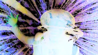 Joyce - Voyce video
