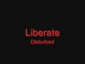 Liberate - Disturbed (Lyrics in the FUCKING ...