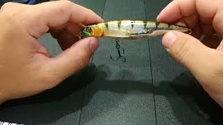 Pontoon 21 greedy guts 55sp sr