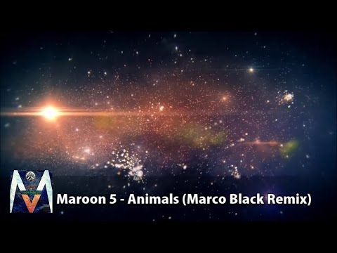 Maroon 5 - Animals (Marco Black Remix)