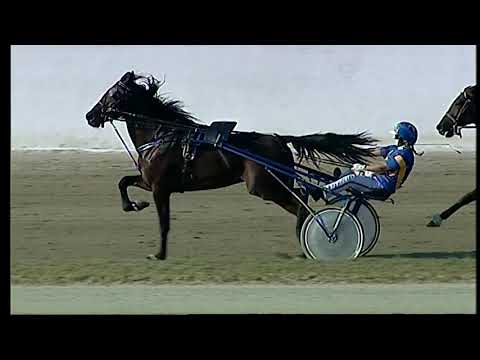 Napoli Trotto 01/10/2021 - 5ª corsa