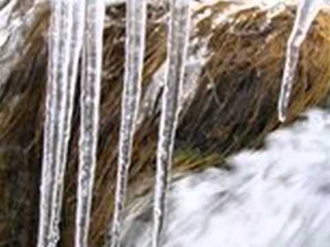 MIRA PEIC ARMENULIC   -   SAMA